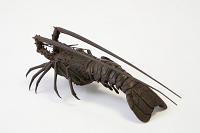 jizai okimono kreeft